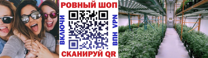 МЕТАДОН Шарья