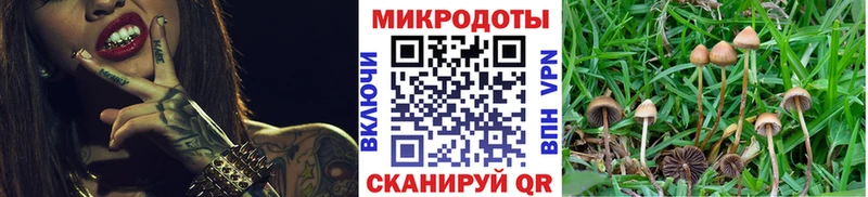 Купить где  Шарья  Псилоцибиновые грибы GOLDEN TEACHER 